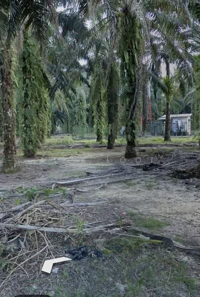 Tanah Perindustrian untuk Dijual di Pekan Nenas (Jeram Batu) - Alex Looi - Exterior - PropertyGuru.com.my