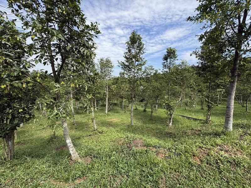 Tanah Perindustrian untuk Dijual di Pekan Nenas (Jeram Batu) - Alex Looi - Garden - PropertyGuru.com.my