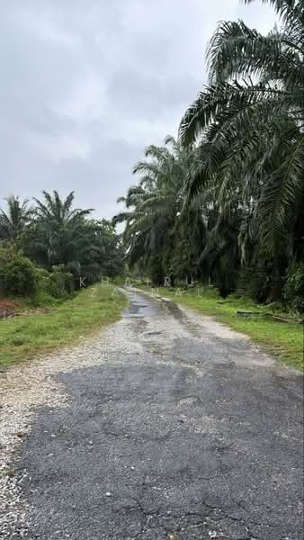 Tanah Pertanian untuk Dijual di Banting (Selangor) - Khairul Zainal - PropertyGuru.com.my