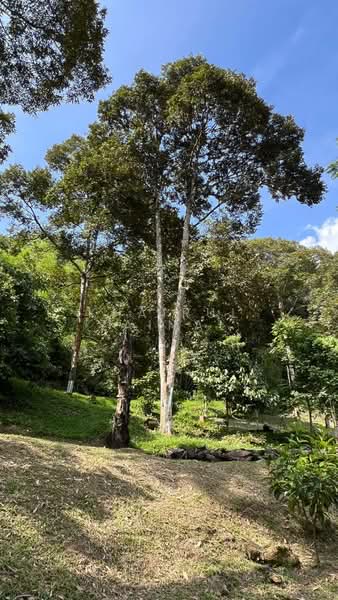 Agricultural Land for Sale in Kampung Dusun Tua (Hulu Langat) - Khairul Zainal - PropertyGuru.com.my