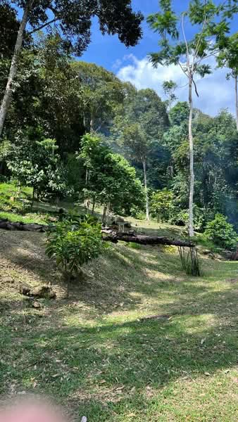 Agricultural Land for Sale in Kampung Dusun Tua (Hulu Langat) - Khairul Zainal - PropertyGuru.com.my