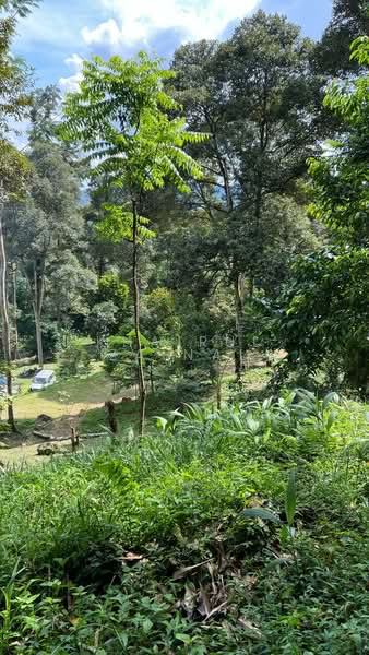 Agricultural Land for Sale in Kampung Dusun Tua (Hulu Langat) - Khairul Zainal - PropertyGuru.com.my