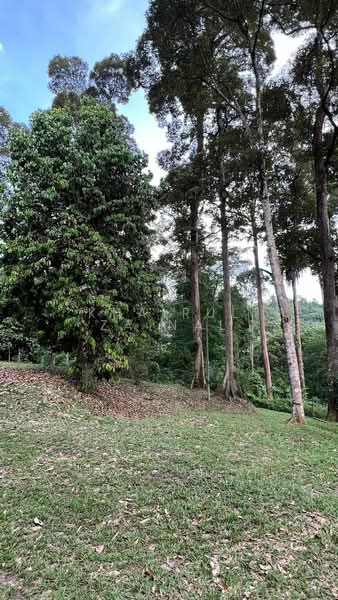 Agricultural Land for Sale in Kampung Dusun Tua (Hulu Langat) - Khairul Zainal - PropertyGuru.com.my