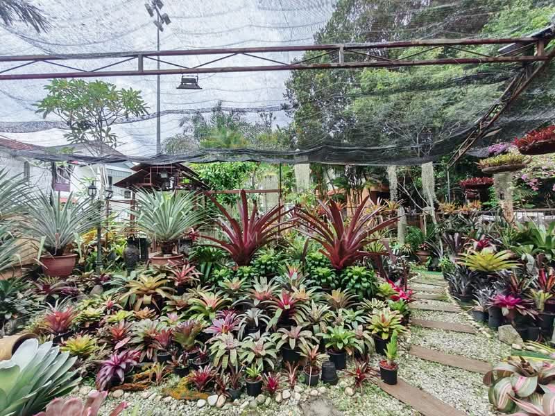 2-storey Terraced House for Sale in Alam Damai (Cheras) - M Jamil Ali - Garden - PropertyGuru.com.my