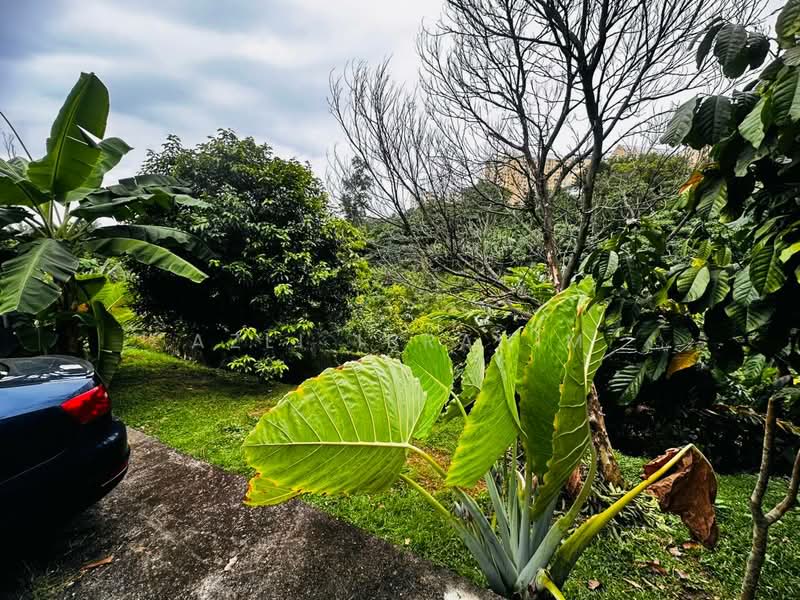 2-storey Terraced House for Sale in Ukay Perdana (Ulu Kelang) - Azli Ibrahim - Garden - PropertyGuru.com.my