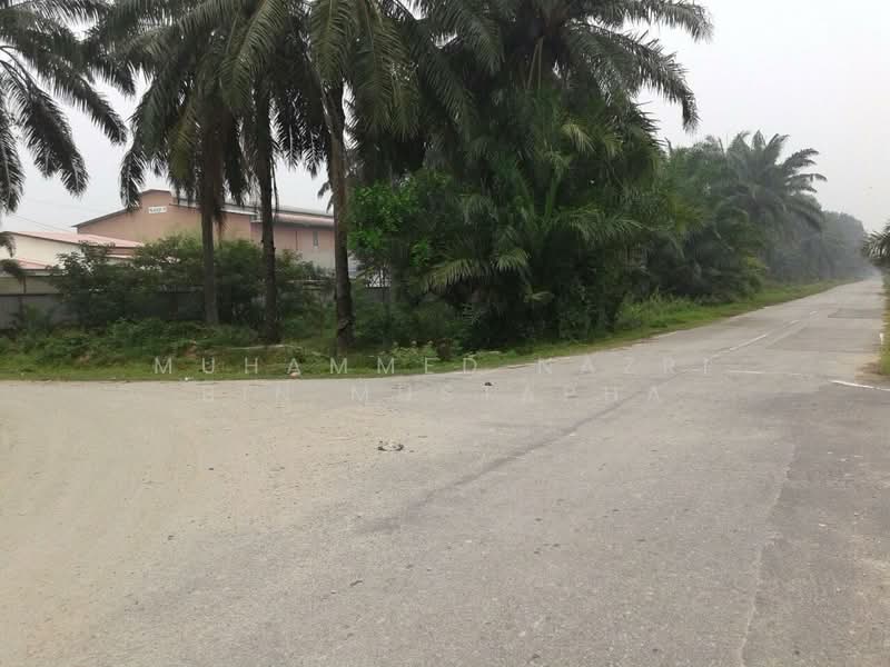 Agricultural Land for Sale in Banting (Selangor) - Muhammed Nazri bin Mustapha - Exterior - PropertyGuru.com.my