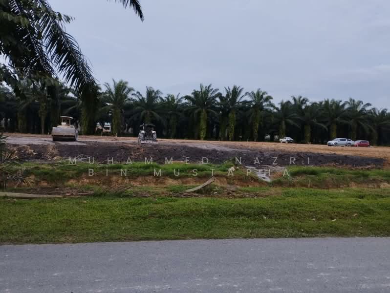 Agricultural Land for Sale in Banting (Selangor) - Muhammed Nazri bin Mustapha - Exterior - PropertyGuru.com.my