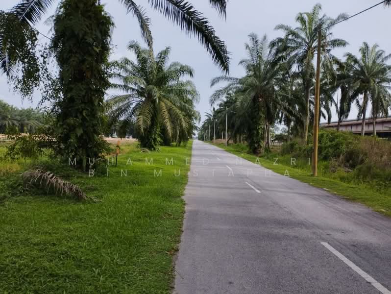 Agricultural Land for Sale in Banting (Selangor) - Muhammed Nazri bin Mustapha - Exterior - PropertyGuru.com.my