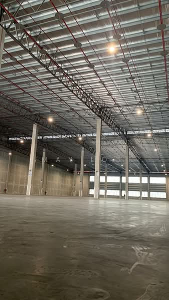 Warehouse for Rent in Shah Alam (Selangor) - May Loo - Interior - PropertyGuru.com.my