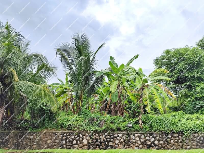 Residential Land for Sale in Nilai (Negeri Sembilan) - Lisa Azila - Exterior - PropertyGuru.com.my