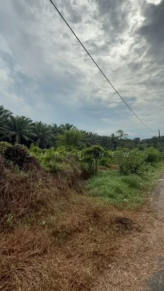 Tanah Pertanian untuk Dijual di Kota Tinggi (Johor) - Amber Hew - Exterior - PropertyGuru.com.my