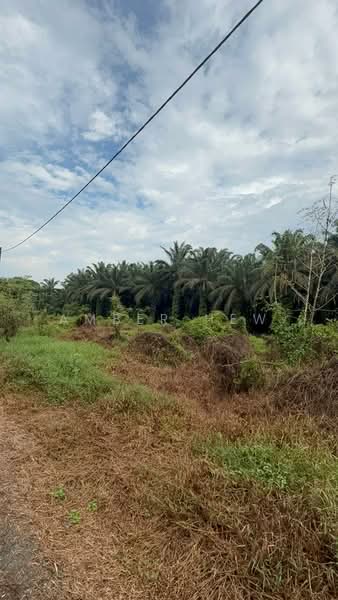 Tanah Pertanian untuk Dijual di Kota Tinggi (Johor) - Amber Hew - Exterior - PropertyGuru.com.my