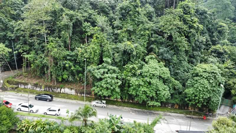 Agricultural Land for Sale in Kampung Bukit Lanjan (Sungai Penchala) - NIK AZWAN - Exterior - PropertyGuru.com.my