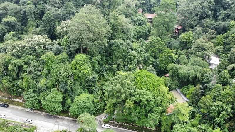 Agricultural Land for Sale in Kampung Bukit Lanjan (Sungai Penchala) - NIK AZWAN - Exterior - PropertyGuru.com.my