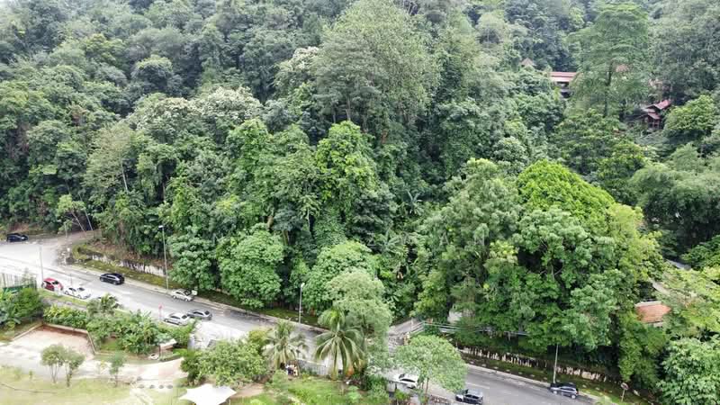 Agricultural Land for Sale in Kampung Bukit Lanjan (Sungai Penchala) - NIK AZWAN - Exterior - PropertyGuru.com.my
