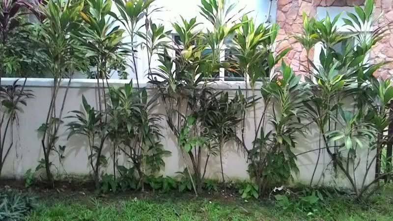 Bungalow for Sale in Setia Eco Park (Setia Alam) - Ken Ong - Exterior - PropertyGuru.com.my