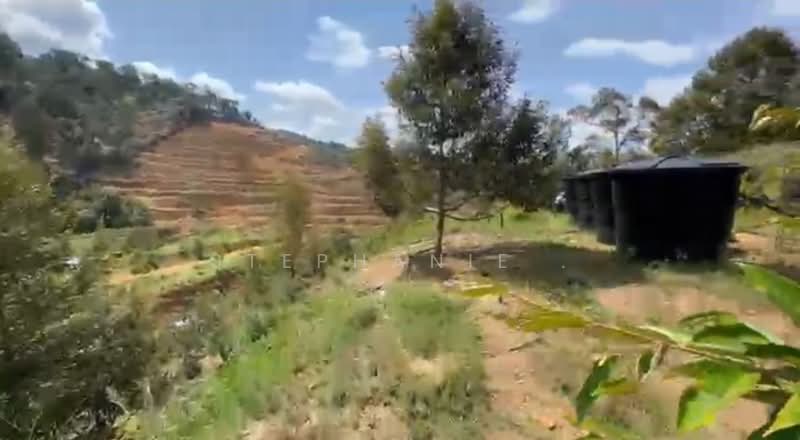 Agricultural Land for Sale in Cheroh (Raub) - Stephanie . - Exterior - PropertyGuru.com.my