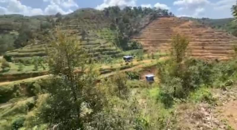Agricultural Land for Sale in Cheroh (Raub) - Stephanie . - Exterior - PropertyGuru.com.my