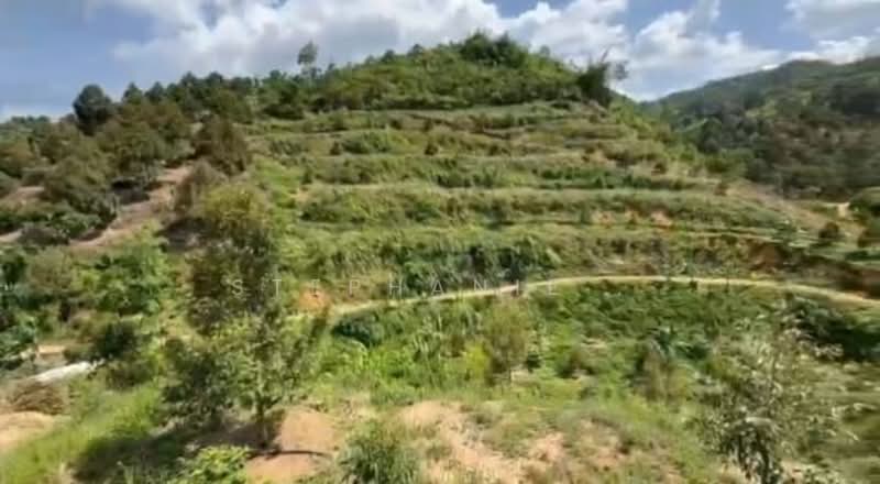 Agricultural Land for Sale in Cheroh (Raub) - Stephanie . - Exterior - PropertyGuru.com.my