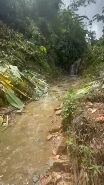 Agricultural Land for Sale in Cheroh (Raub) - Stephanie . - Exterior - PropertyGuru.com.my