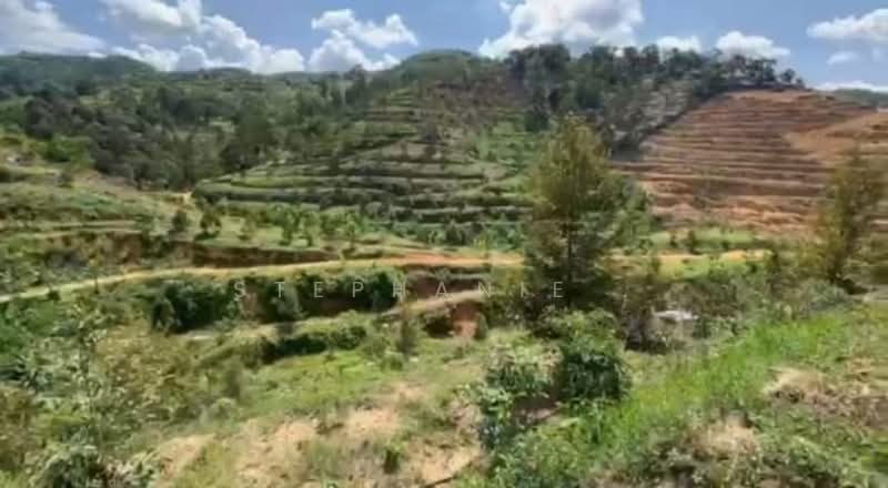 Agricultural Land for Sale in Cheroh (Raub) - Stephanie . - Exterior - PropertyGuru.com.my