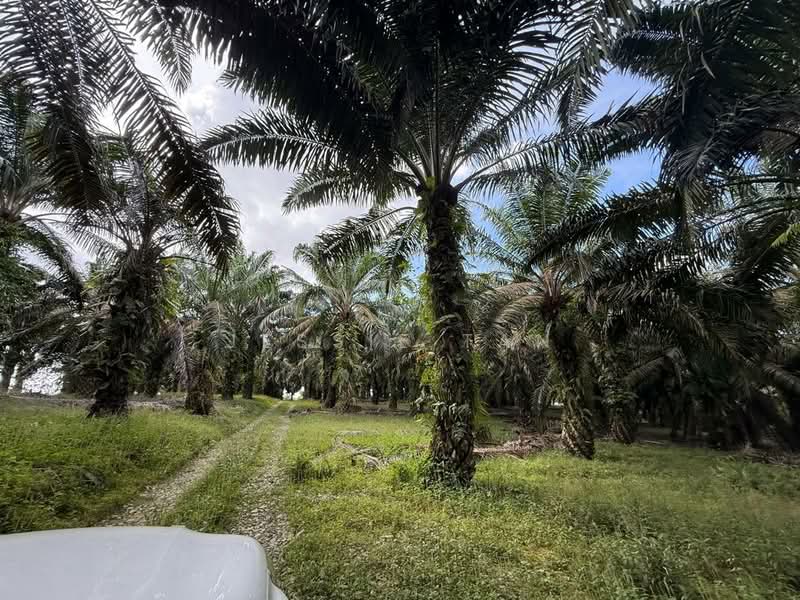 Tanah Perindustrian untuk Dijual di Senai (Johor) - Jessie Tan - Exterior - PropertyGuru.com.my