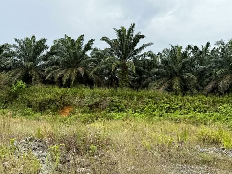 Tanah Perindustrian untuk Dijual di Senai (Johor) - Jessie Tan - Exterior - PropertyGuru.com.my