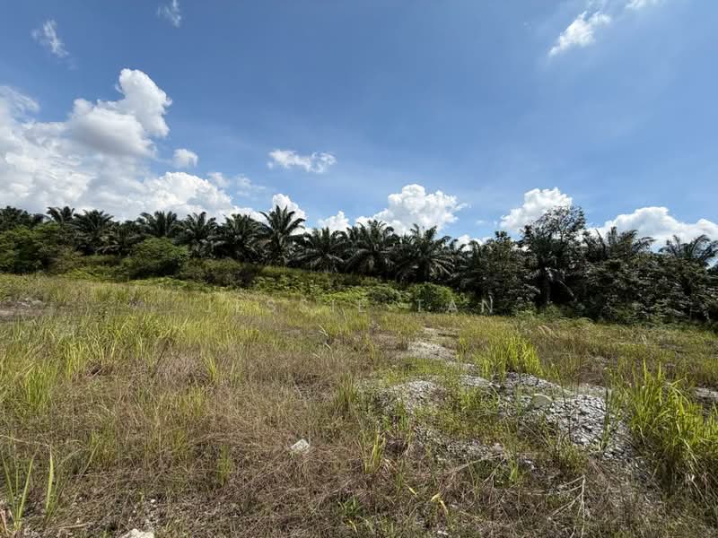 Tanah Perindustrian untuk Dijual di Senai (Johor) - Jessie Tan - Exterior - PropertyGuru.com.my