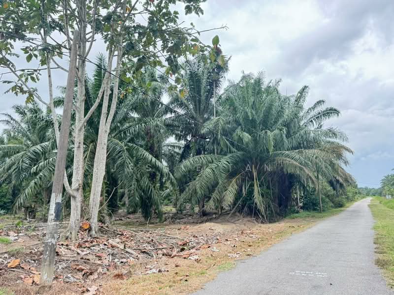 Tanah Pertanian untuk Dijual di Kampung Chokoh Besar (Serkat) - Jessie Tan - Exterior - PropertyGuru.com.my
