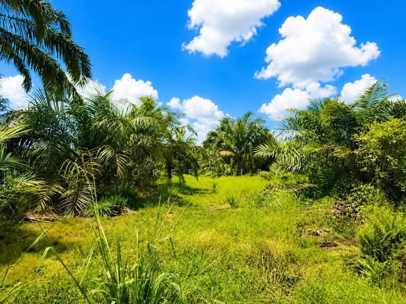 Agricultural Land for Sale in Pontian (Johor) - Joreen Lee - Exterior - PropertyGuru.com.my
