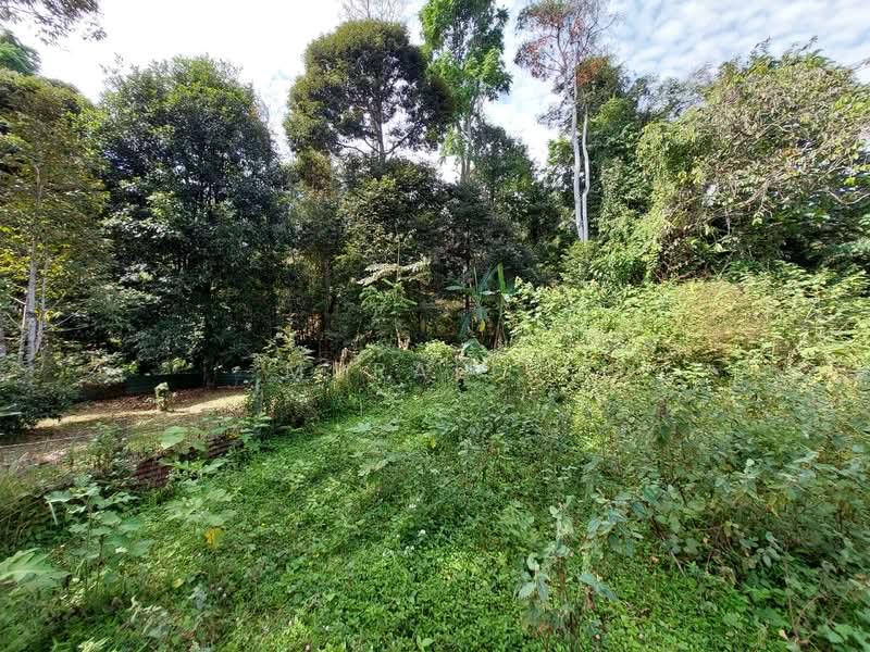 Other Property for Sale in Kampung Baru Gurun (Gurun) - Murali . - Garden - PropertyGuru.com.my