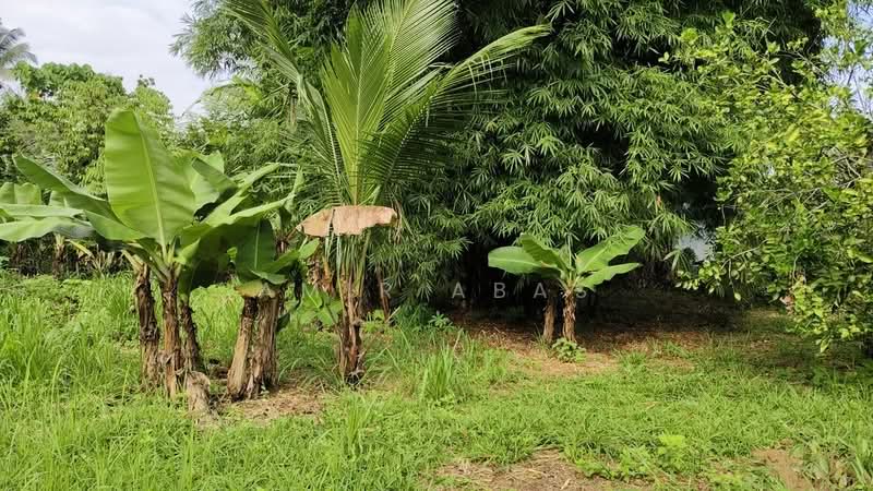 Agricultural Land for Sale in Hulu Langat (Selangor) - Amir Abas - Garden - PropertyGuru.com.my