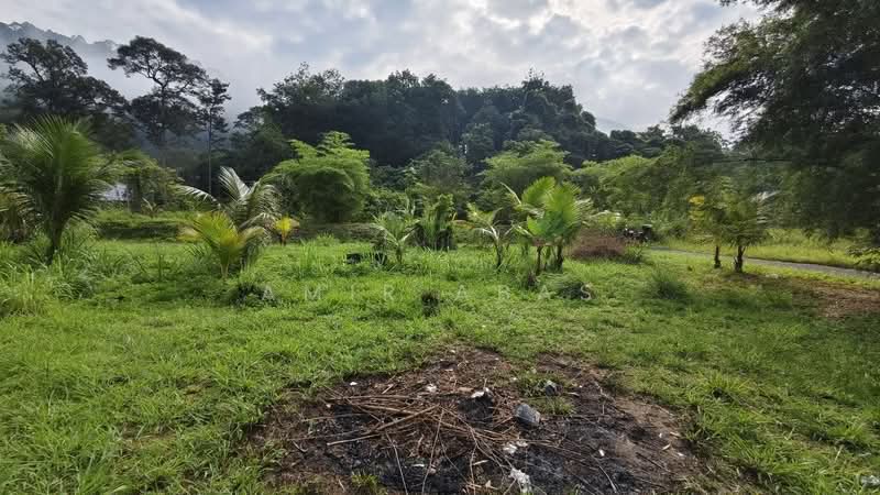 Agricultural Land for Sale in Hulu Langat (Selangor) - Amir Abas - PropertyGuru.com.my