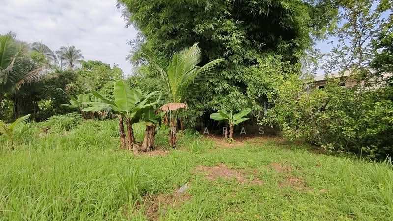 Agricultural Land for Sale in Hulu Langat (Selangor) - Amir Abas - Garden - PropertyGuru.com.my