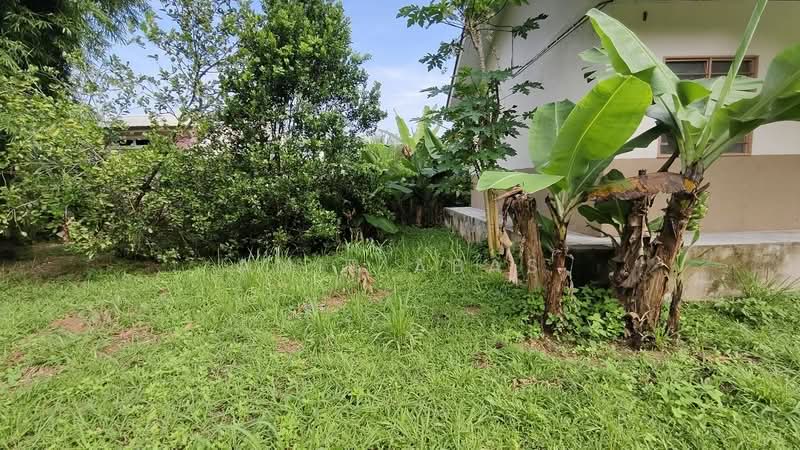 Agricultural Land for Sale in Hulu Langat (Selangor) - Amir Abas - Exterior - PropertyGuru.com.my