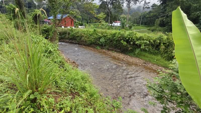 Agricultural Land for Sale in Hulu Langat (Selangor) - Amir Abas - PropertyGuru.com.my