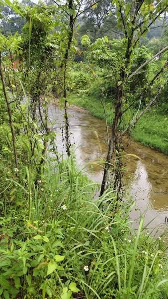Agricultural Land for Sale in Hulu Langat (Selangor) - Amir Abas - PropertyGuru.com.my