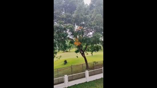 Bungalow for Sale in Iskandar Puteri (Nusajaya) (Johor) - Crystal Lim - PropertyGuru.com.my