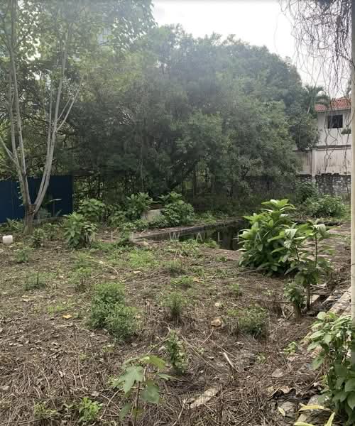 Rumah Banglo untuk Dijual di Damansara Heights (Damansara Heights) - Mel Walia - Garden - PropertyGuru.com.my