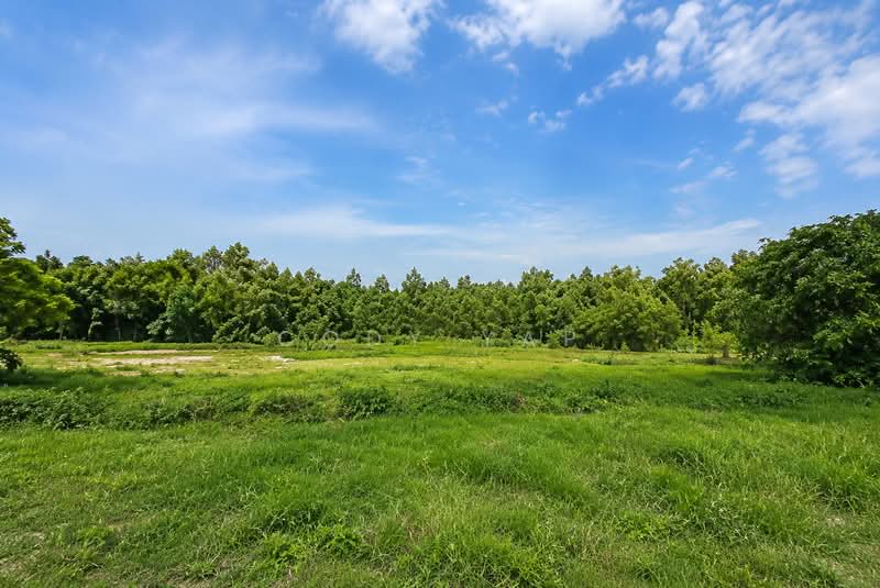 Others for Sale in Tanjong Malim (Perak) - Cody Yap - Exterior - PropertyGuru.com.my