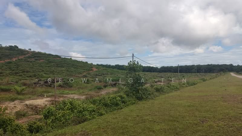 Agricultural Land for Sale in Mersing (Johor) - Seowamiga Ten - Exterior - PropertyGuru.com.my