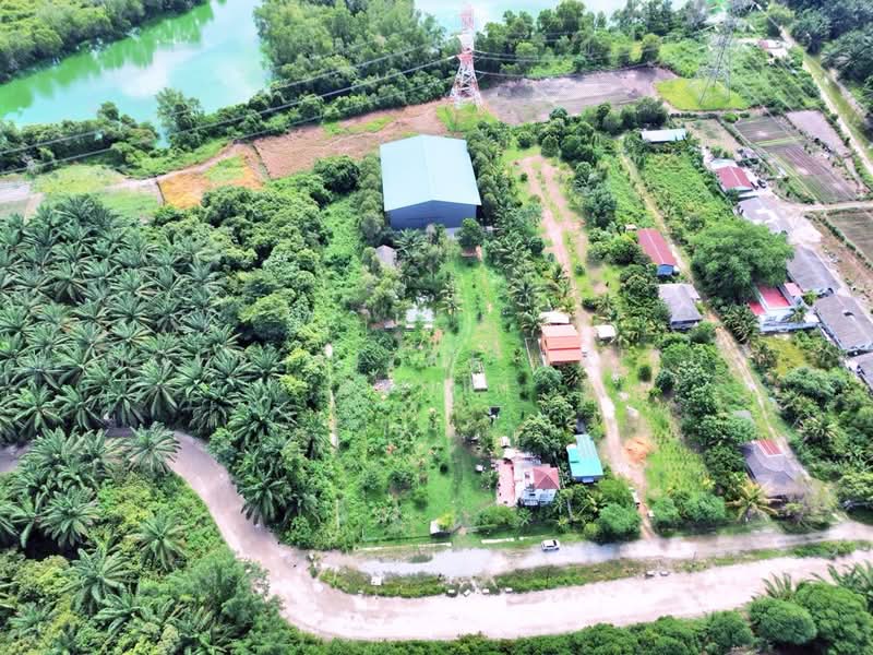 Agricultural Land for Sale in Kampung Dengkil (Dengkil) - Mohd Aizat Saiful Bahri - Exterior - PropertyGuru.com.my