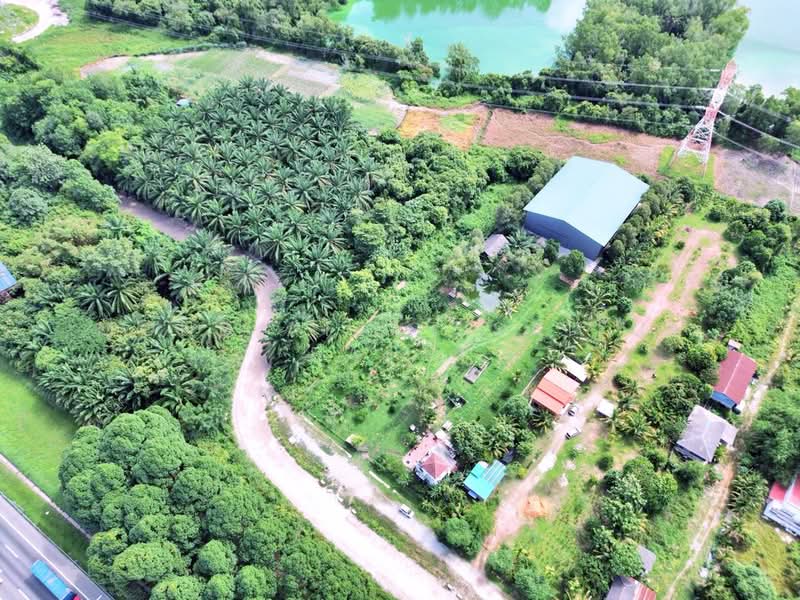 Agricultural Land for Sale in Kampung Dengkil (Dengkil) - Mohd Aizat Saiful Bahri - Exterior - PropertyGuru.com.my