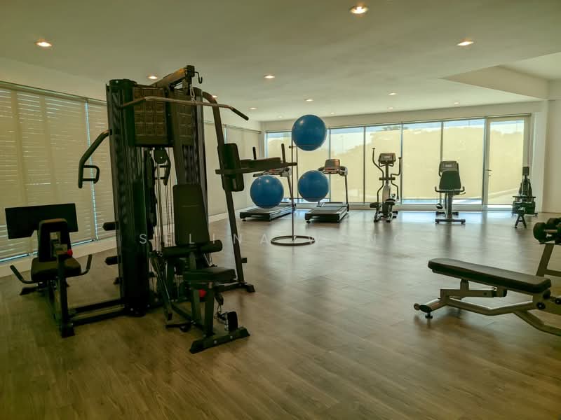 Townhouse for Sale in Ipoh (Perak) - Selina Wong - Gym - PropertyGuru.com.my
