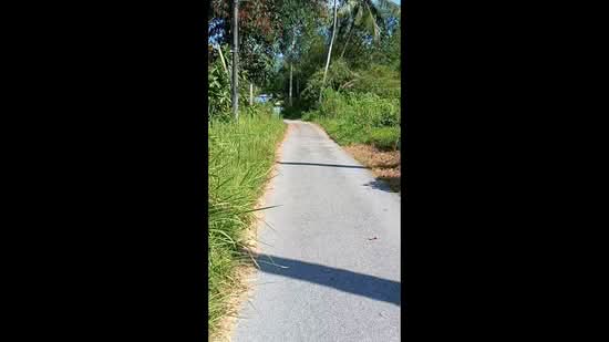 Other Property for Sale in Balik Pulau Village Area (Balik Pulau) - Su Sim - PropertyGuru.com.my