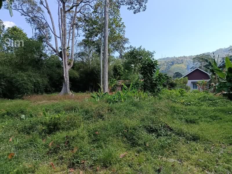Other Property for Sale in Balik Pulau Village Area (Balik Pulau) - Su Sim - Actual Land - PropertyGuru.com.my