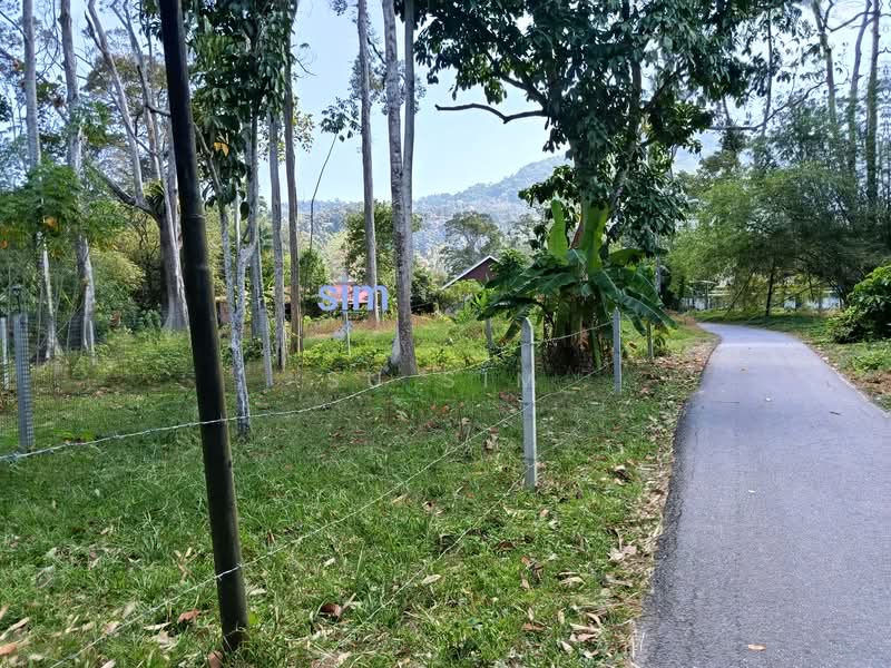 Other Property for Sale in Balik Pulau Village Area (Balik Pulau) - Su Sim - Actual Land - PropertyGuru.com.my