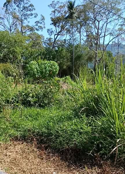Other Property for Sale in Balik Pulau Village Area (Balik Pulau) - Su Sim - Actual Land - PropertyGuru.com.my