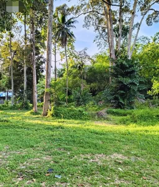 Other Property for Sale in Balik Pulau Village Area (Balik Pulau) - Su Sim - Garden - PropertyGuru.com.my