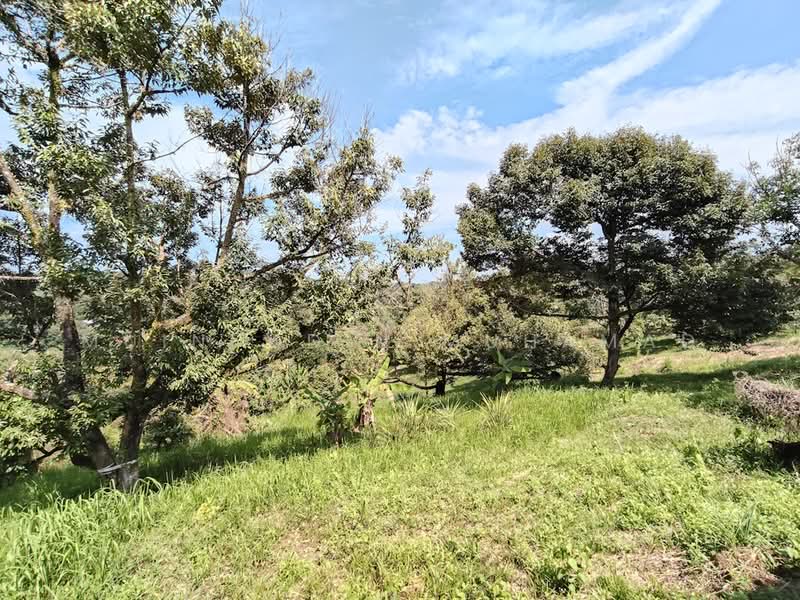 Tanah Pertanian untuk Dijual di Sungkai (Perak) - Muinuddin Muhamad - Garden - PropertyGuru.com.my